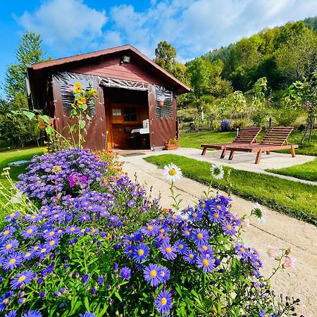 Cottage La Sierra With Jacuzzi كورينيتسا المظهر الخارجي الصورة