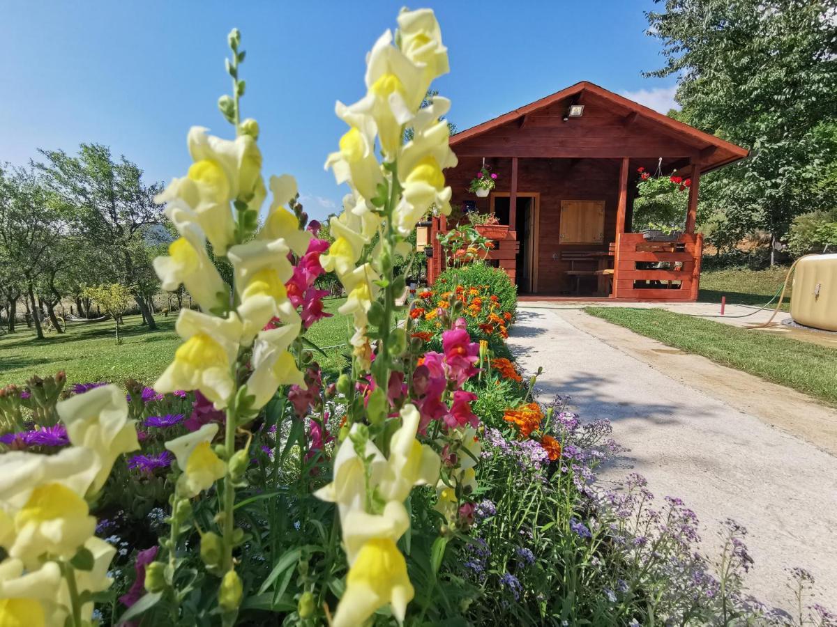Cottage La Sierra With Jacuzzi كورينيتسا المظهر الخارجي الصورة