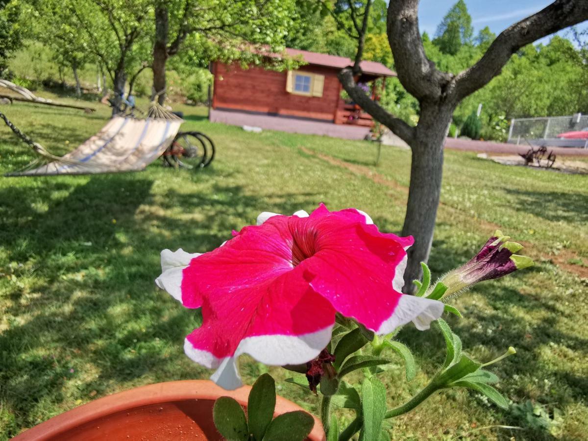 Cottage La Sierra With Jacuzzi كورينيتسا المظهر الخارجي الصورة