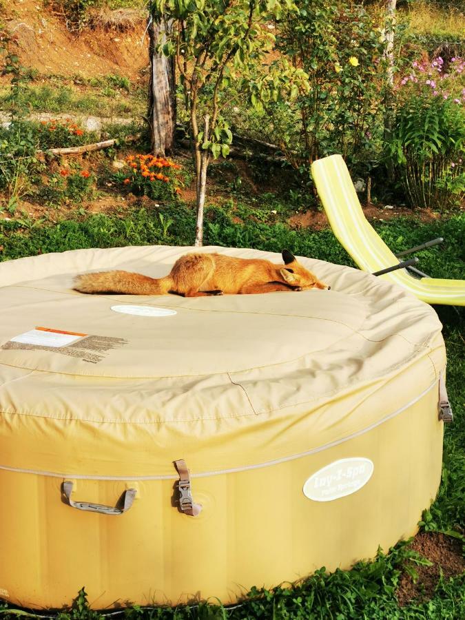 Cottage La Sierra With Jacuzzi كورينيتسا المظهر الخارجي الصورة